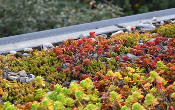 the cost of Ruyton Xi Towns green roof installation