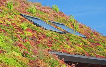 Ruyton Xi Towns living roof systems