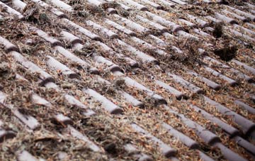 Ruyton Xi Towns roof cleaning companies