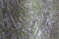 Ruyton Xi Towns fibreglass roof work